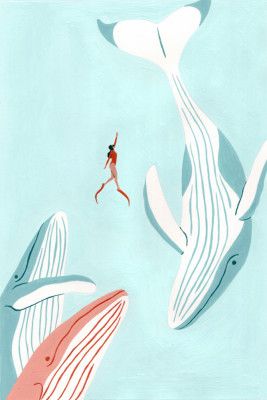 Swimming with Whales