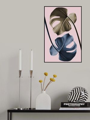 Monstera Pink Light 02