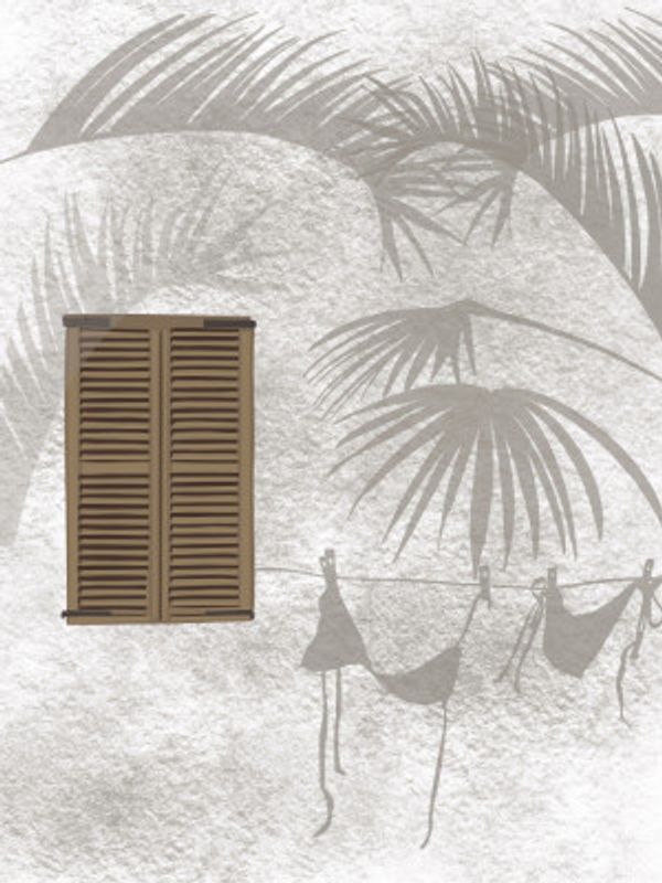 Tropical Reflections