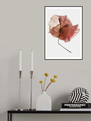 Delicate Petal Veins