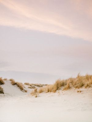 Ameland Dunes 3