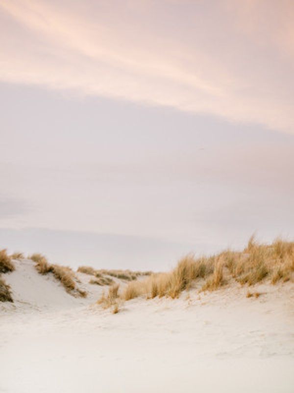 Ameland Dunes 3