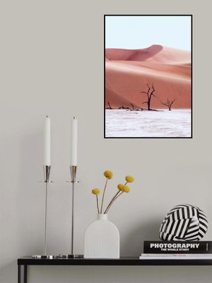 Ancient Forest Namibia