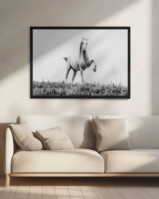 a short story about white beauty