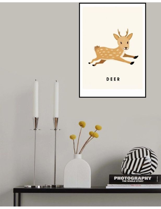 Deer