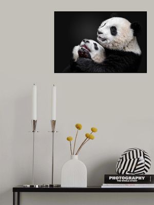 Pandas