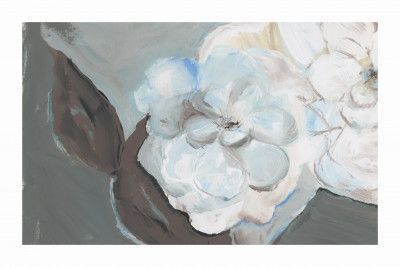 White Petals &amp; Shadows