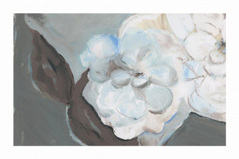 White Petals &amp; Shadows