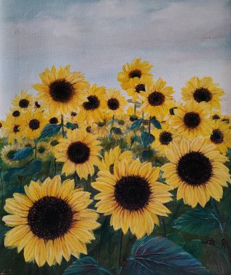 Sunflowers