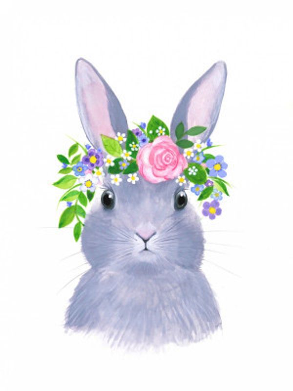 Spring Bunny Rabbit