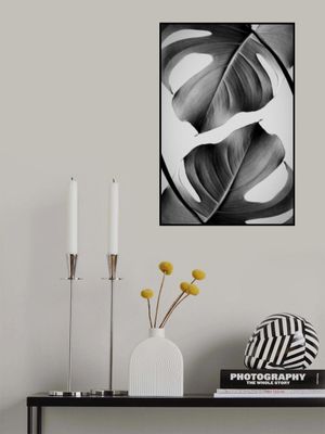 Monstera Monochrome