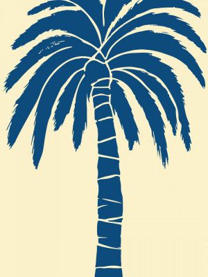 Palm Tree