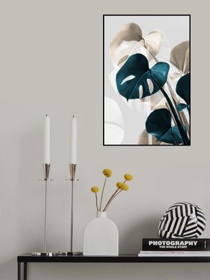 Monstera Creative 10