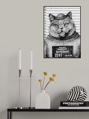 Cat In A Police Lineup