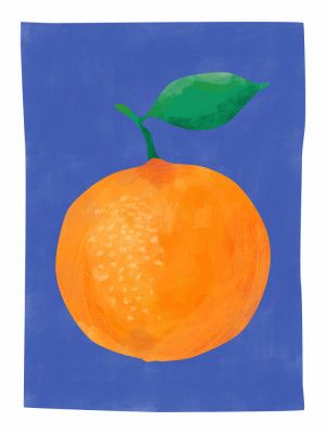 Vibrant Orange Fruit