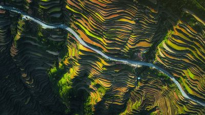 The way of terraced fields
