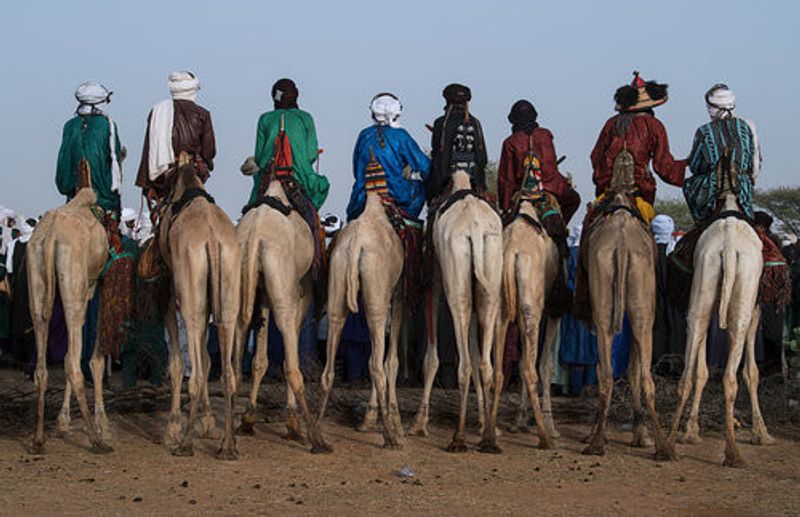 Watching the gerewol festival from the camels - Niger