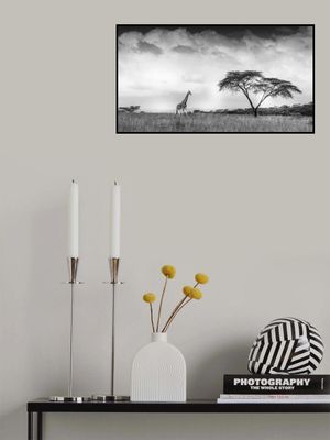 And I dreamed of Africa