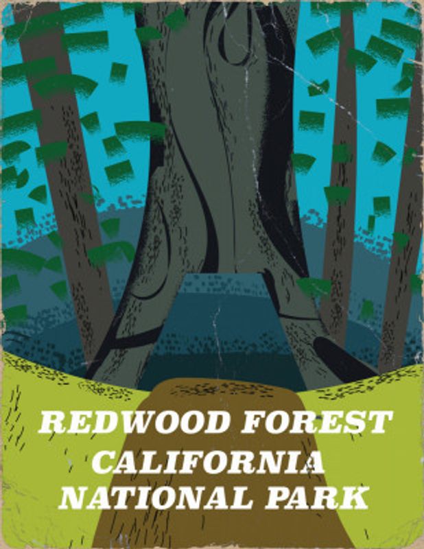 Redwood Forest California National Park Travel Poster