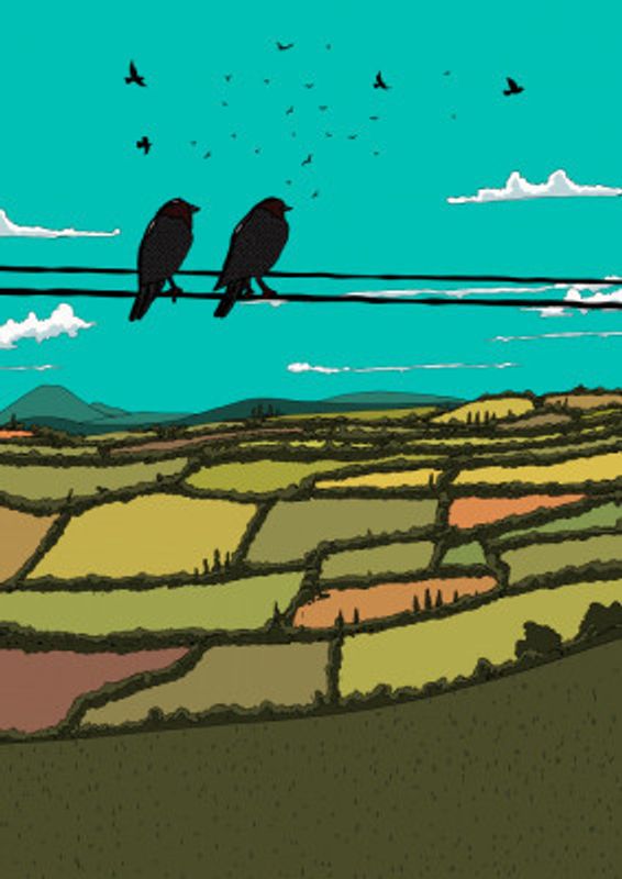 Birds On A Wire