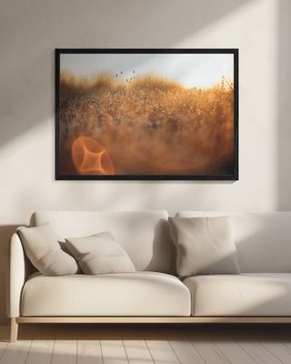 Serene Golden Field During Sunset