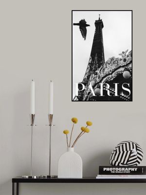 Paris Dove