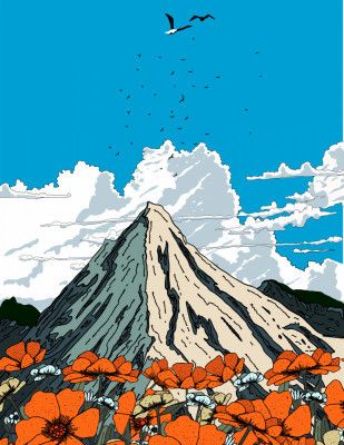 Poppies In The Mountains