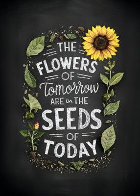 The Flowers Of Tomorrow Are In The Seeds Of Today