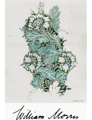 Anemone - William Morris