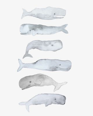 Whale Art