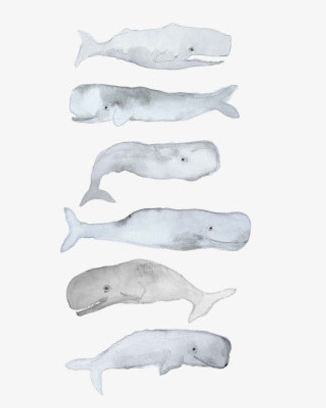 Whale Art