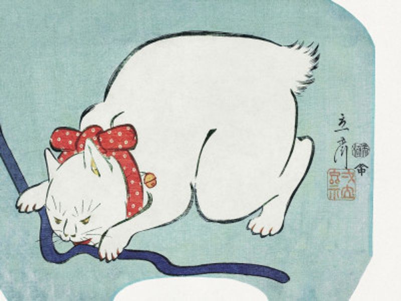 Japanese White Cat (1863)