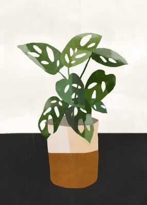 Plant with Delicate Leaves