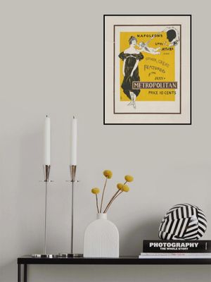 Napoleaons Love Affair