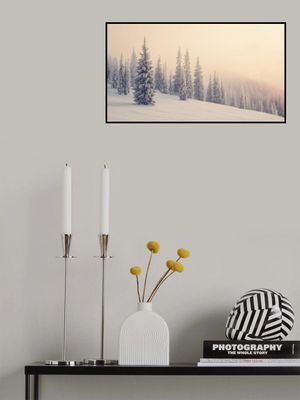 Winter Landscape Snowy Pines