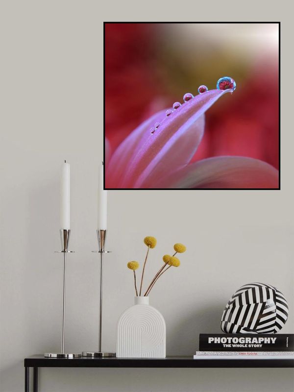 Behind Closed Eyes...