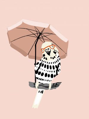Stylish Budgie Under Umbrella