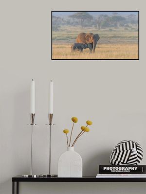 Milking under sunrise