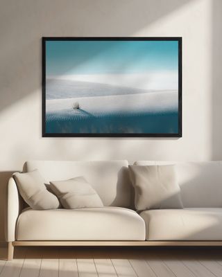 Growing in White Sands