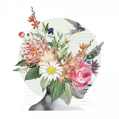 A Collection of Life