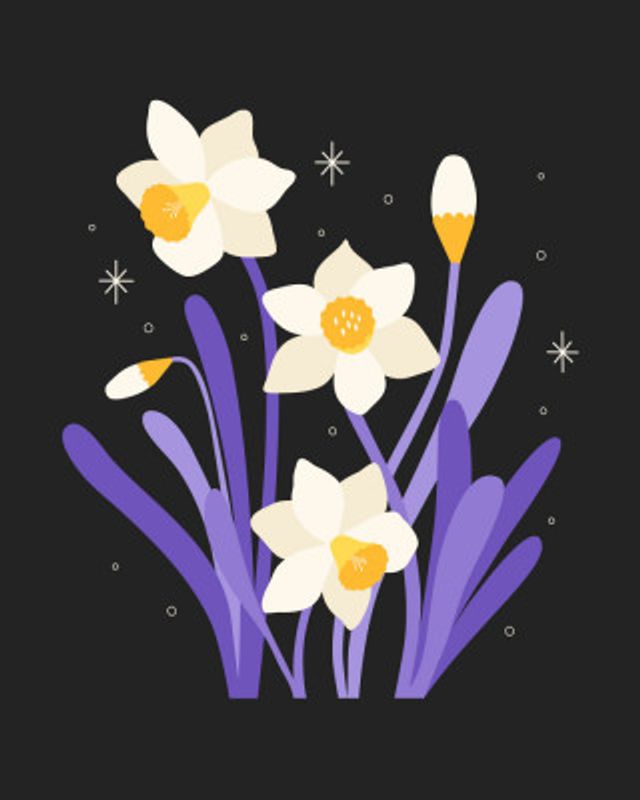 Narcissus Stars Daffodil Dark