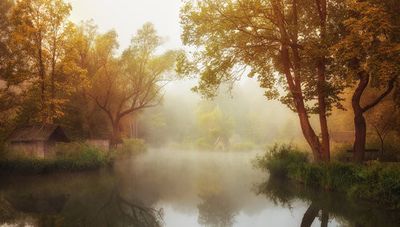 Foggy Autumn