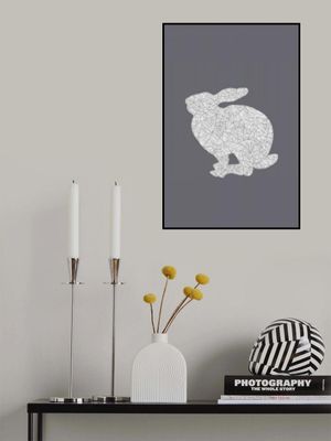 10 Cool Grey Rabbit 02