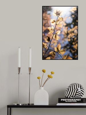 Golden Autumn Leaves