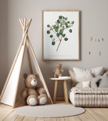 Euphorbia Petiolaris 1805   Flower Garden Displayed By Francis Sansom