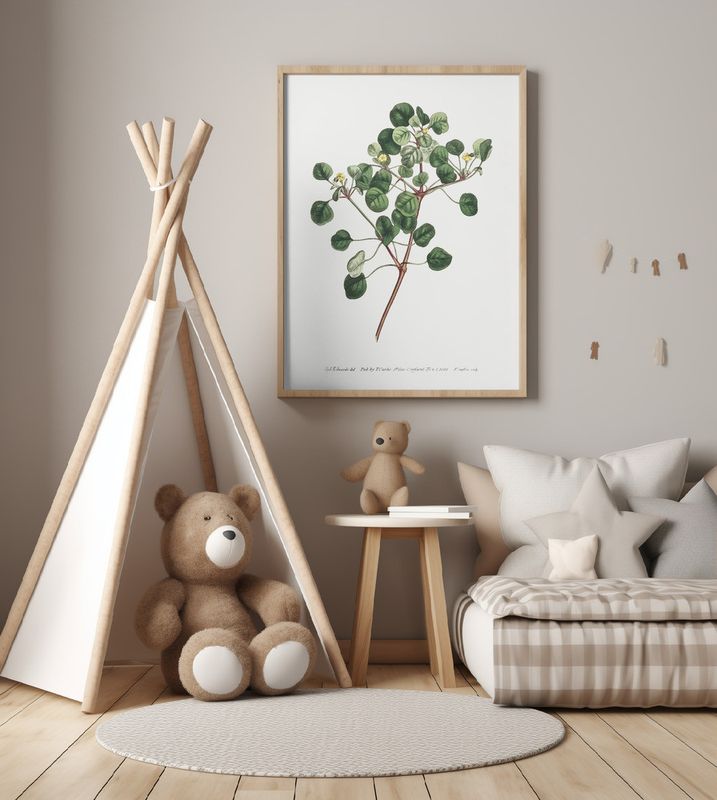 Euphorbia Petiolaris 1805   Flower Garden Displayed By Francis Sansom