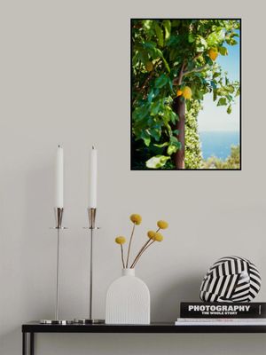 Amalfi Coast Lemons II on Film