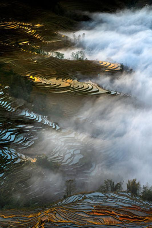 Colorful rice terraces