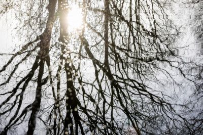 Winter Reflections 3