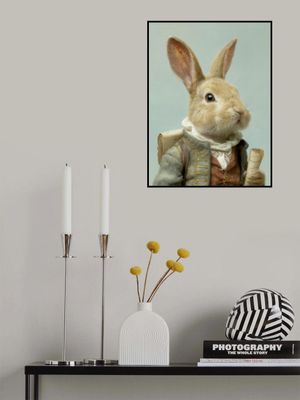 Navigator Rabbit